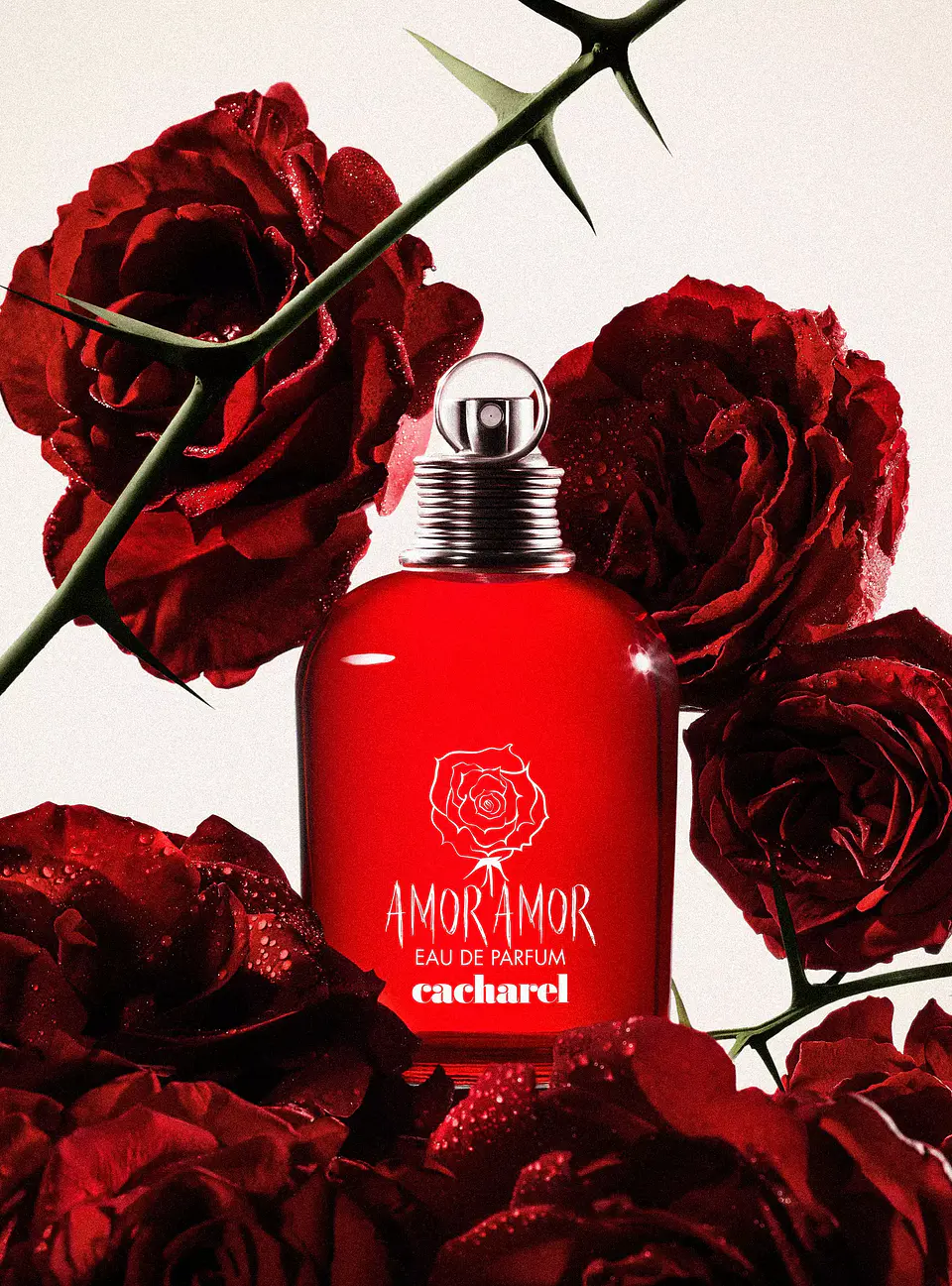 Cacharel Amor Amor Edt 100ml Mujer  4