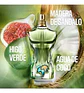 Jean Paul Gaultier Le Beau Paradise Garden Edp 75ml Hombre - Miniatura 5