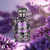 Perfume Lattafa Habik EDP 100 ML Hombres
