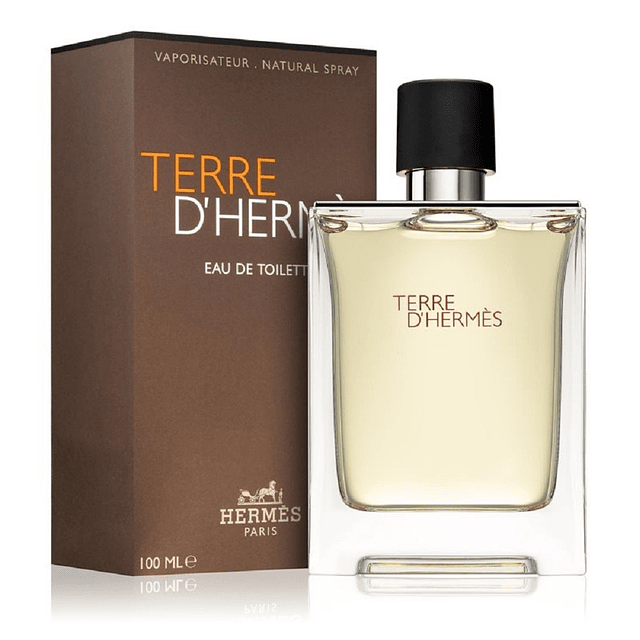 Perfume Hermes Terre D'Hermes EDT 100 Ml Hombres