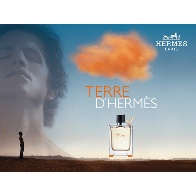 Perfume Hermes Terre D'Hermes EDT 100 Ml Hombres