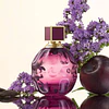 Perfume Jimmy Choo Fever Edp 100 Ml Mujer