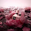 Perfume Viktor&Rolf FlowerBomb Extreme Estuche EDP Intense 50ml+ Mini EDP Intense 10Ml + Miniatura EDP 7Ml