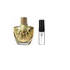 Decant Perfume Maison Alhambra Celeste EDP Unisex