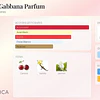 Perfume Dolce Gabbana Q Parfum Estuche 100 Ml + Mini EDP 10 Ml Mujer