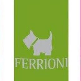Terrier Green para mujer / 250 ml Body Mist Spray