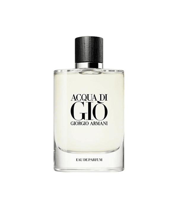 Giorgio Armani Acqua Di Gio Homme EDP 125ml Recargable