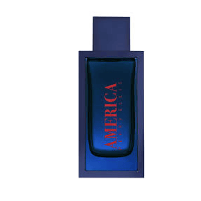 PERRY ELLIS AMERICA 100ML EDT MEN 