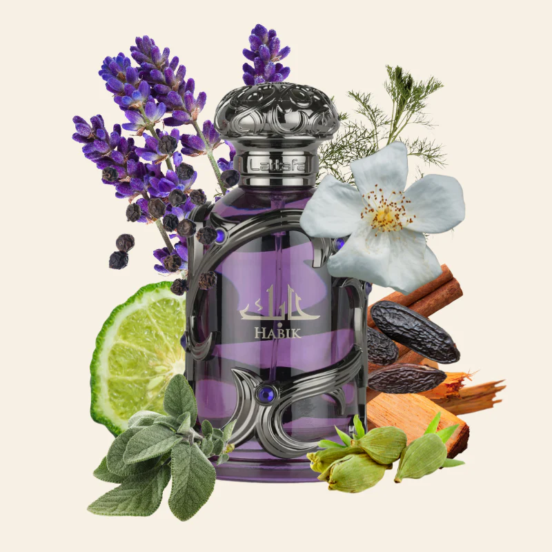 Perfume Habik Men de Lattafa EDP 100 ml | Premium Perfumes