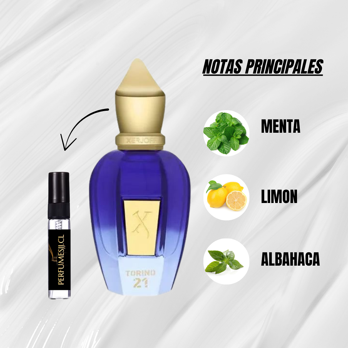 DECANT TORINO21 - XERJOFF 1