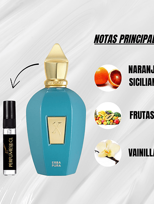 DECANT ERBA PURA - XERJOFF