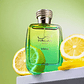 PERFUME HAWAS VERDE RASASI EDP 100ML - INSPIRADO EN XERJOFF TORINO 21 - Miniatura 2