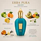 DECANT XERJOFF ERBA PURA EDP - Miniatura 2