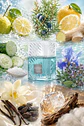 DECANT LATTAFA KHAMRAH WAHA EDP - Miniatura 3
