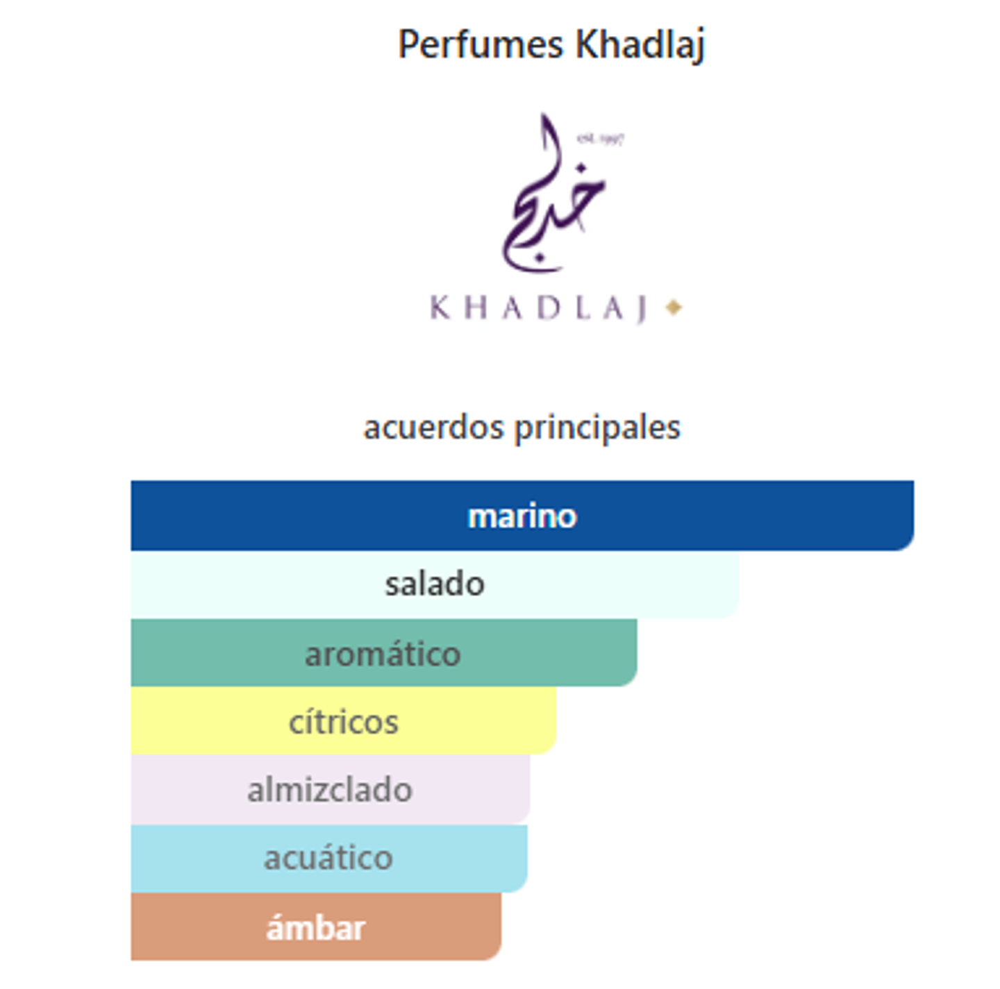 Stellar Oud 100 ml 2