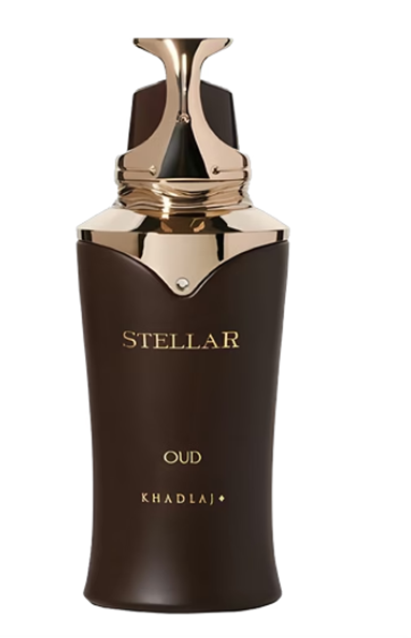 Stellar Oud 100 ml 1