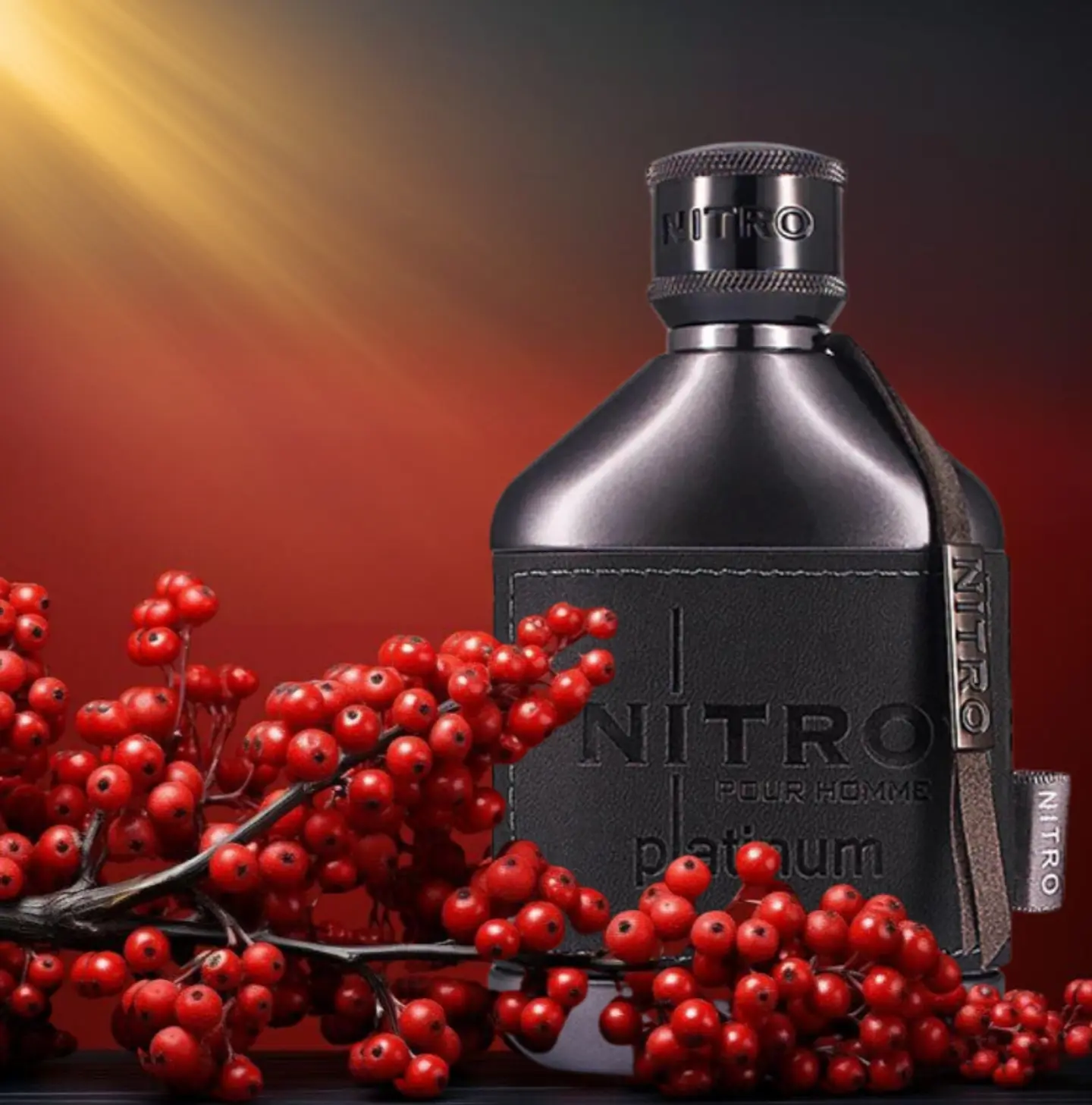 Nitro Platinum 100 ml 6