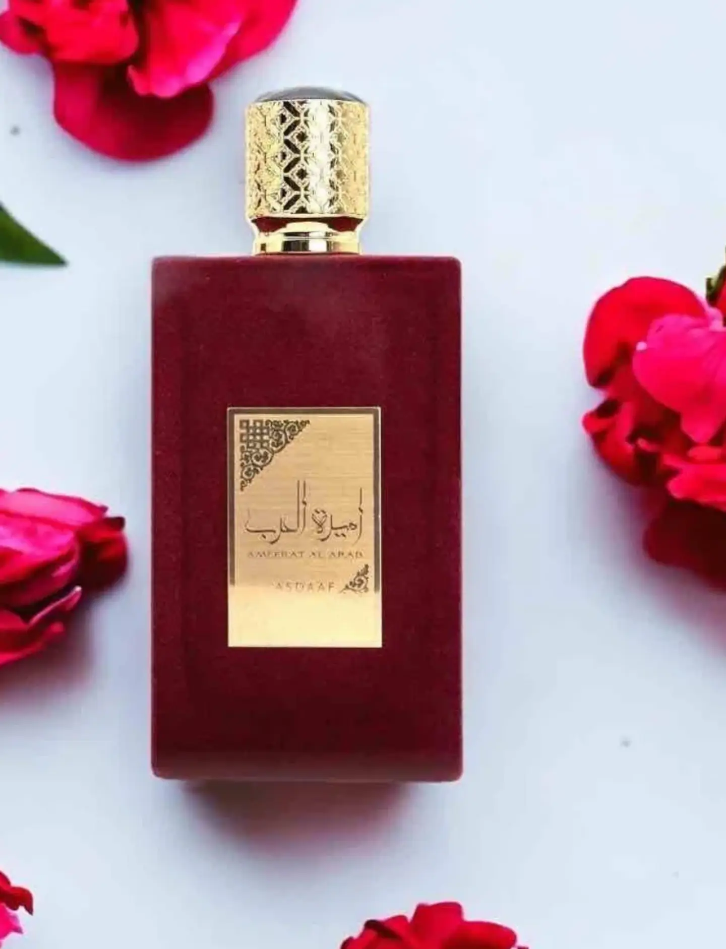 Ameerat Al Arab 100 ml 5