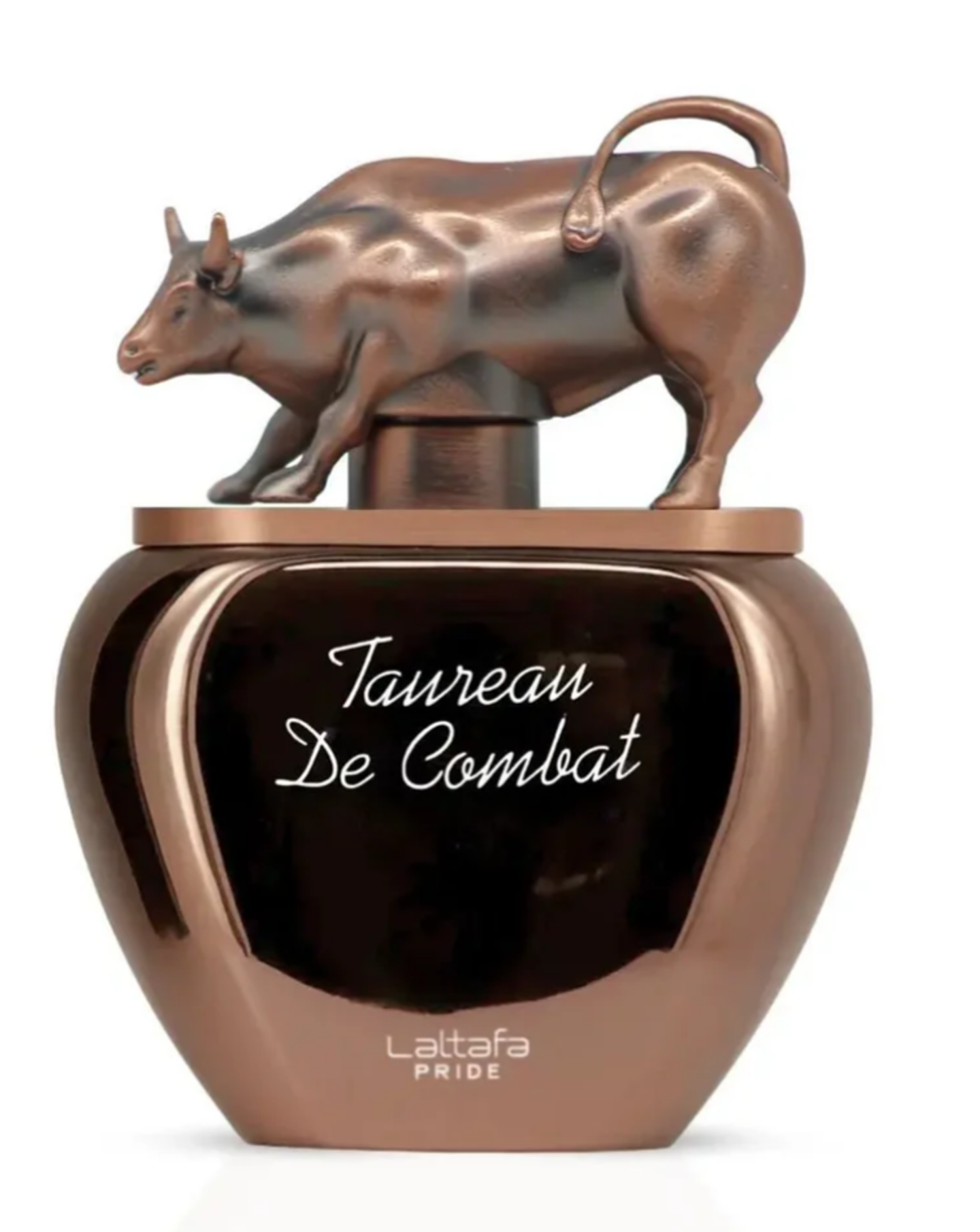 Taureau de Combat  1