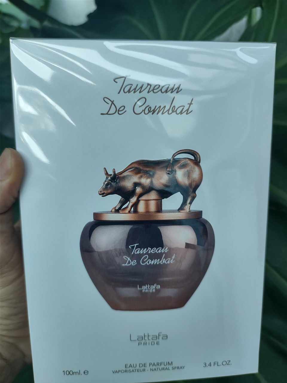 Taureau de Combat  2