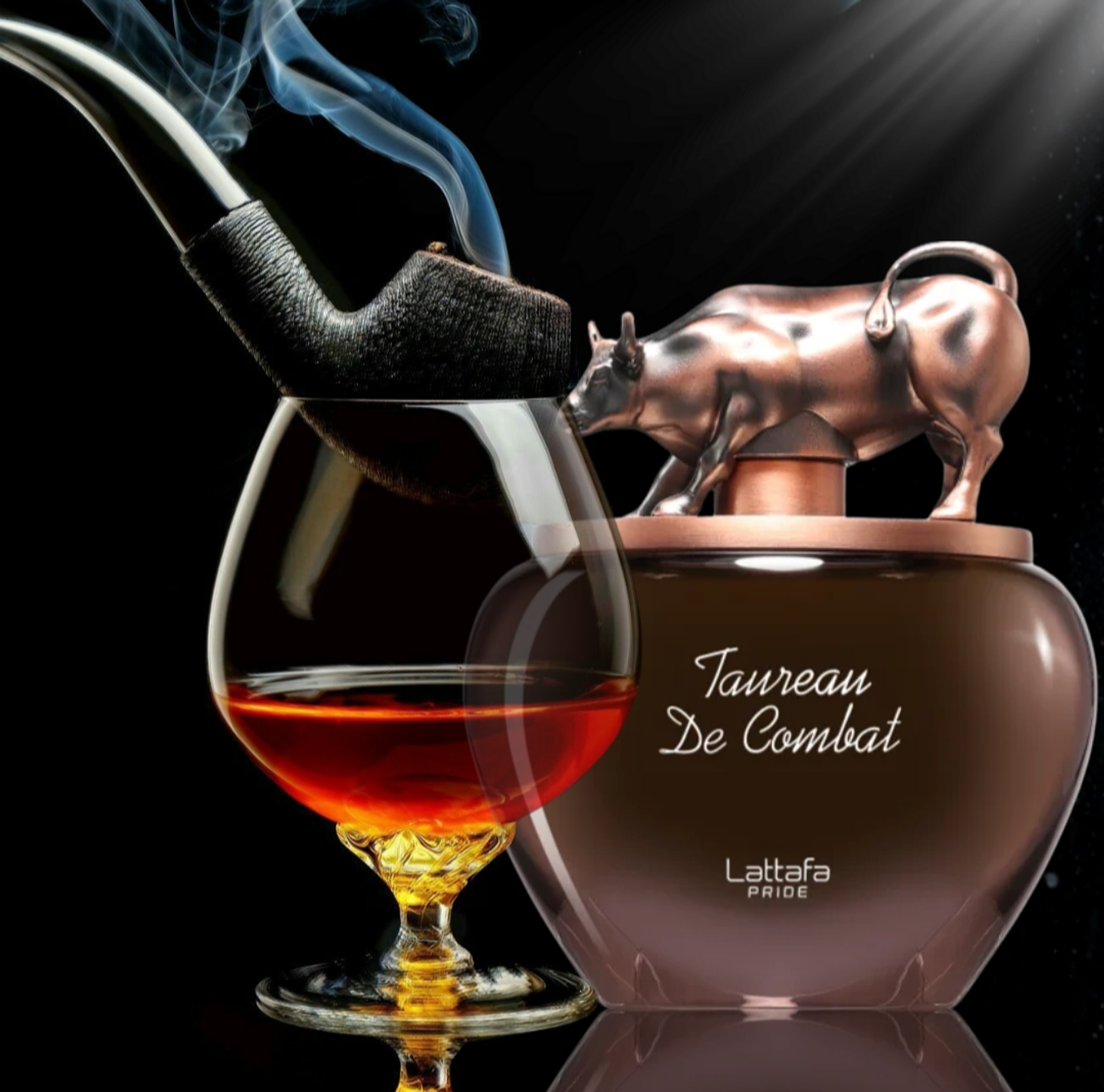 Taureau de Combat  4