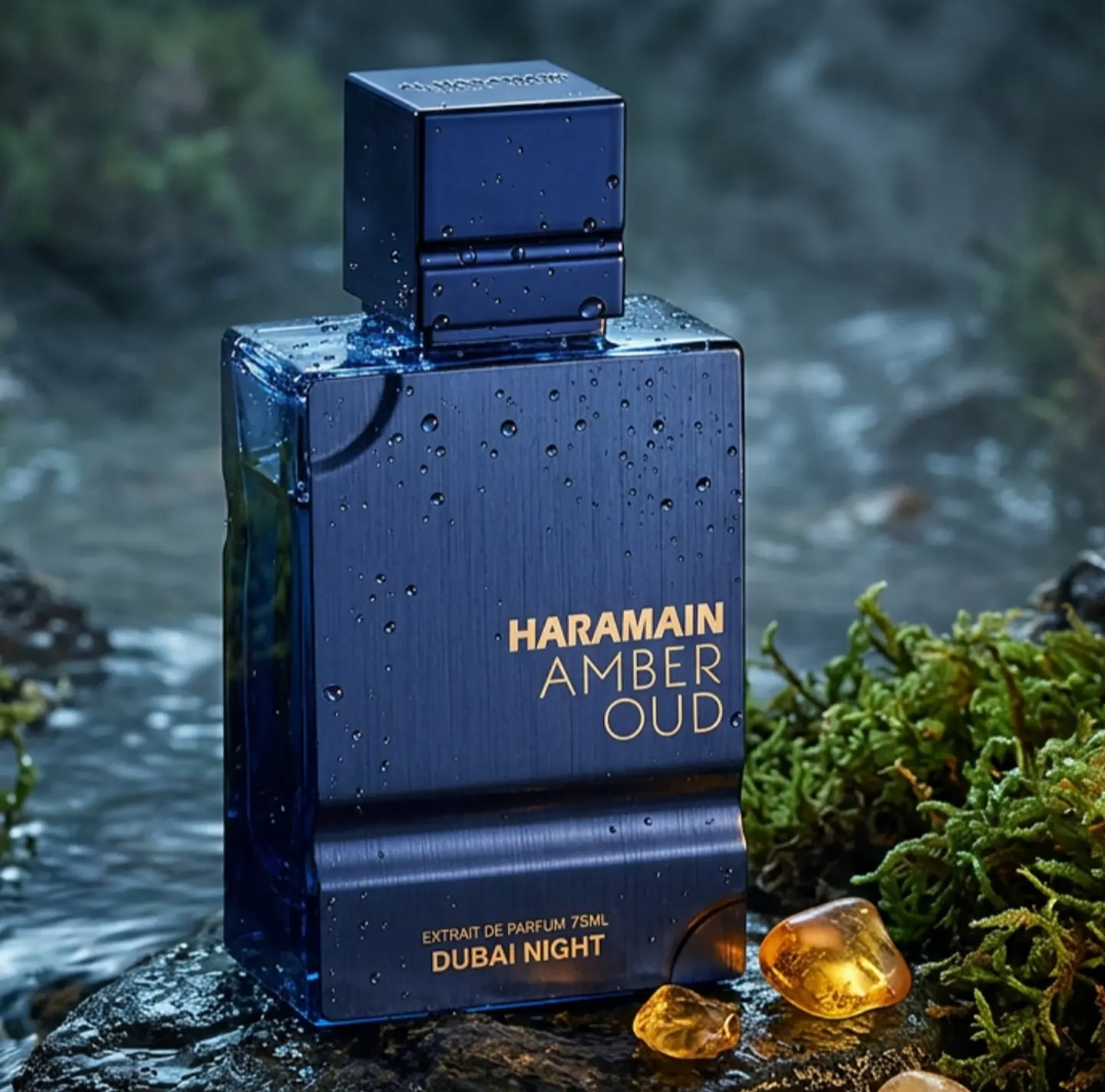 Amber Oud Dubai NIGHT  5