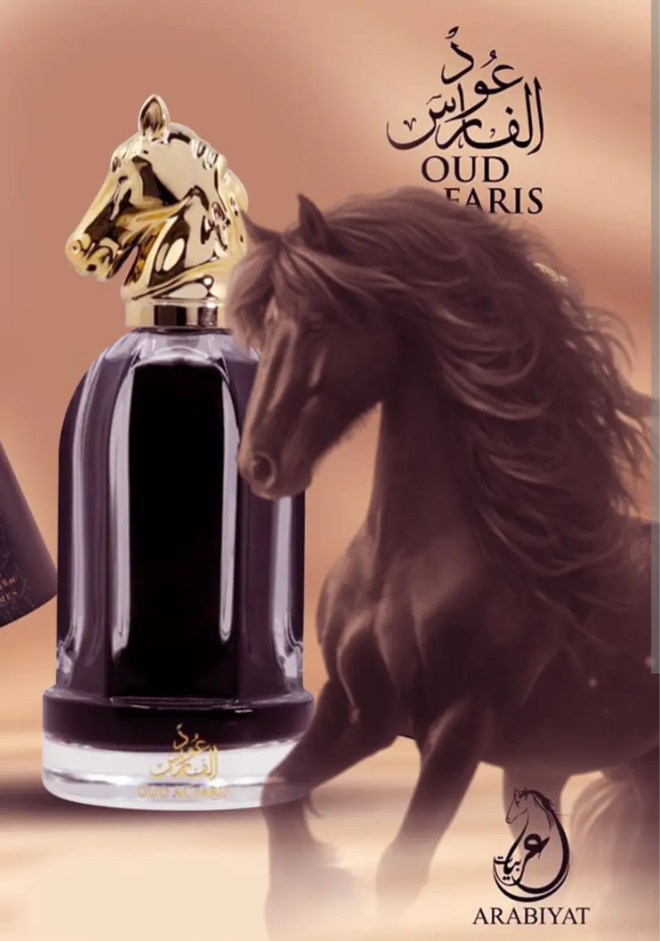 OUD AL FARIS ELIXIR  3