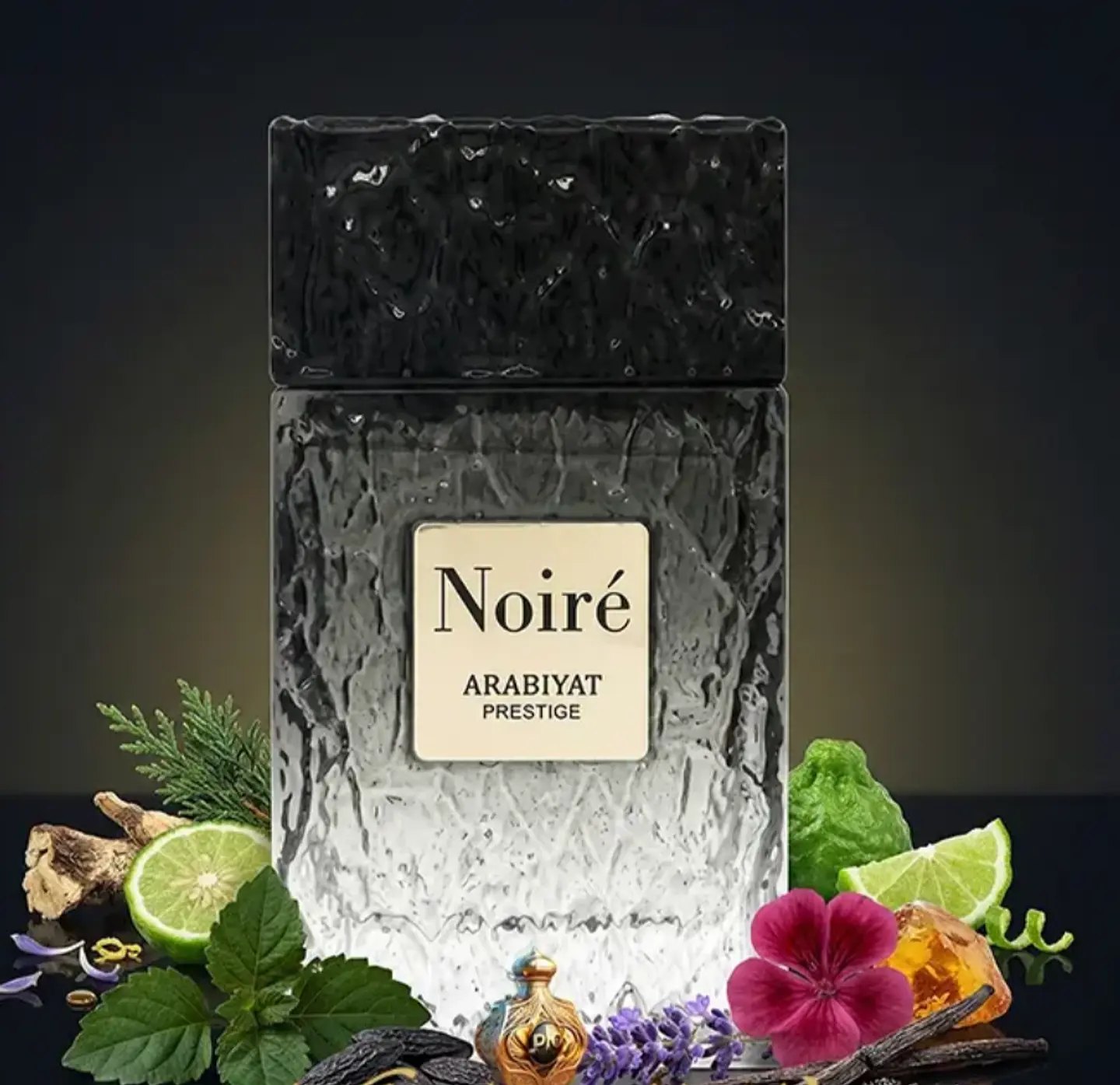 Noiré  5