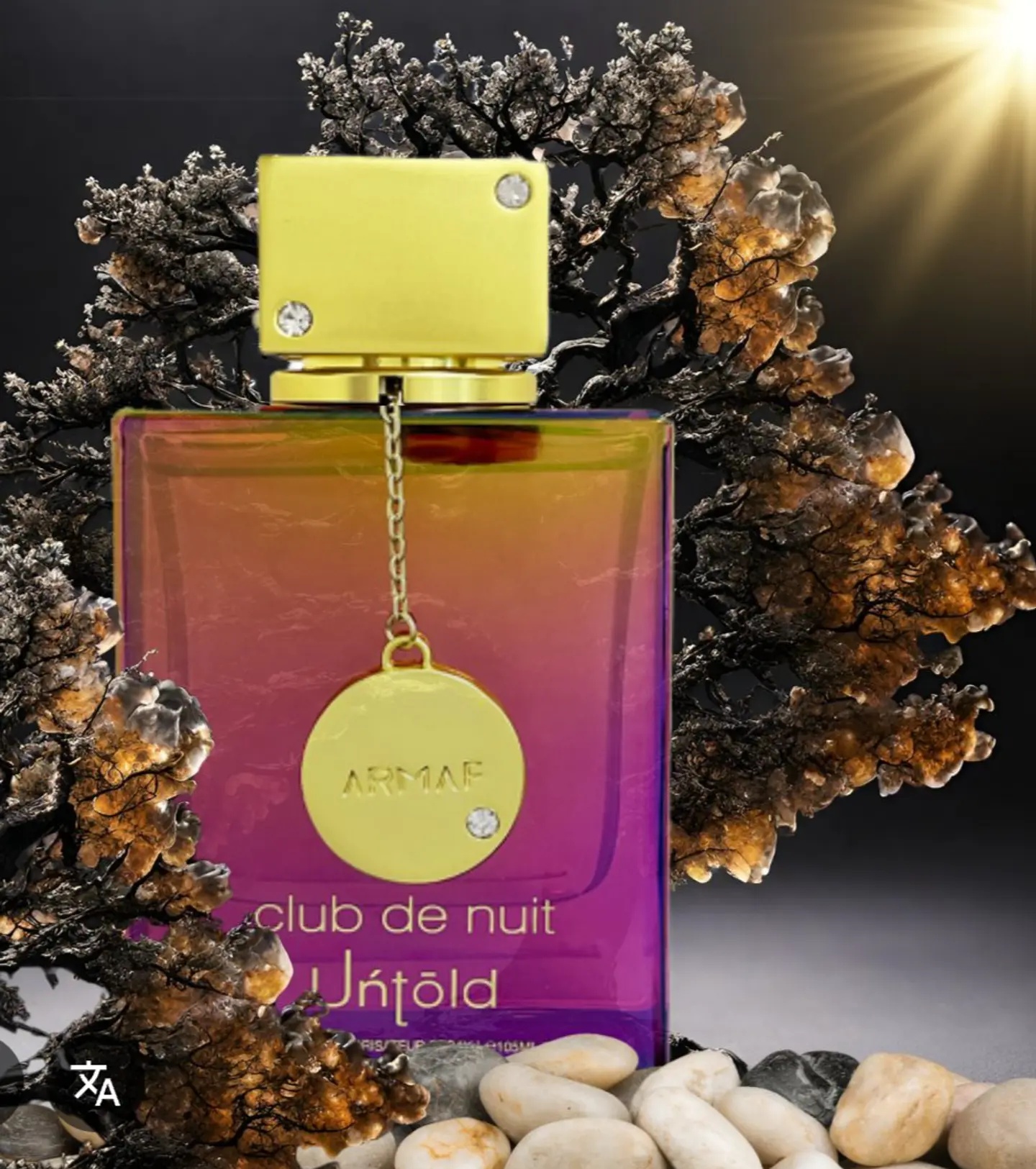 CLUB DE NUIT UNTOLD  5