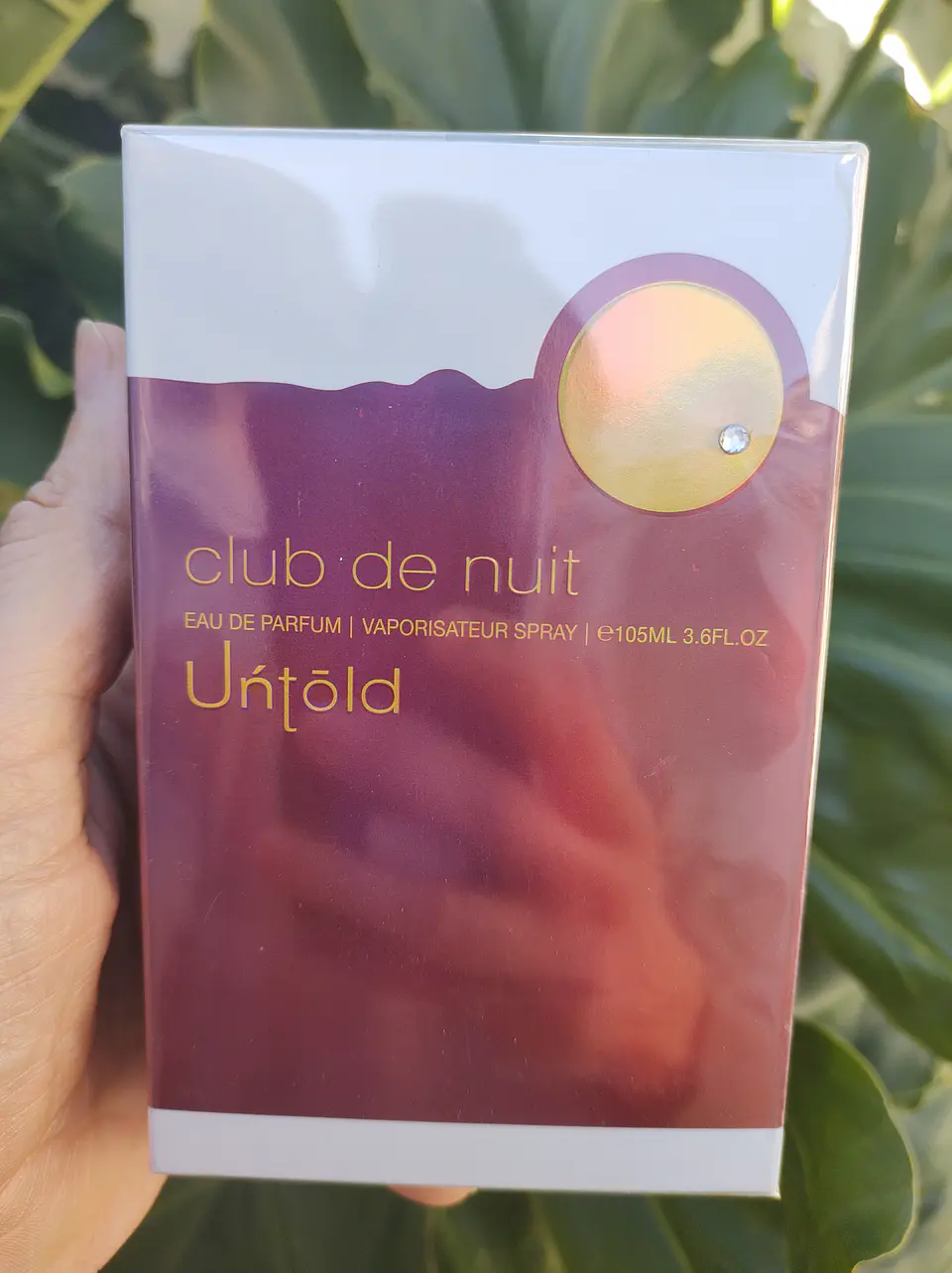CLUB DE NUIT UNTOLD  2