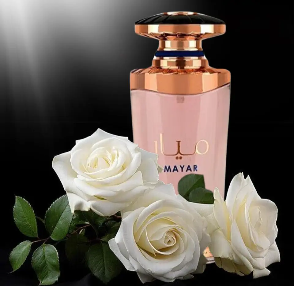MAYAR 6