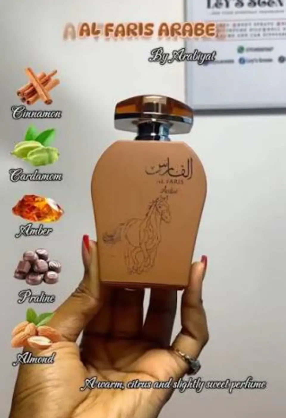 AL FARIS ARABE 3