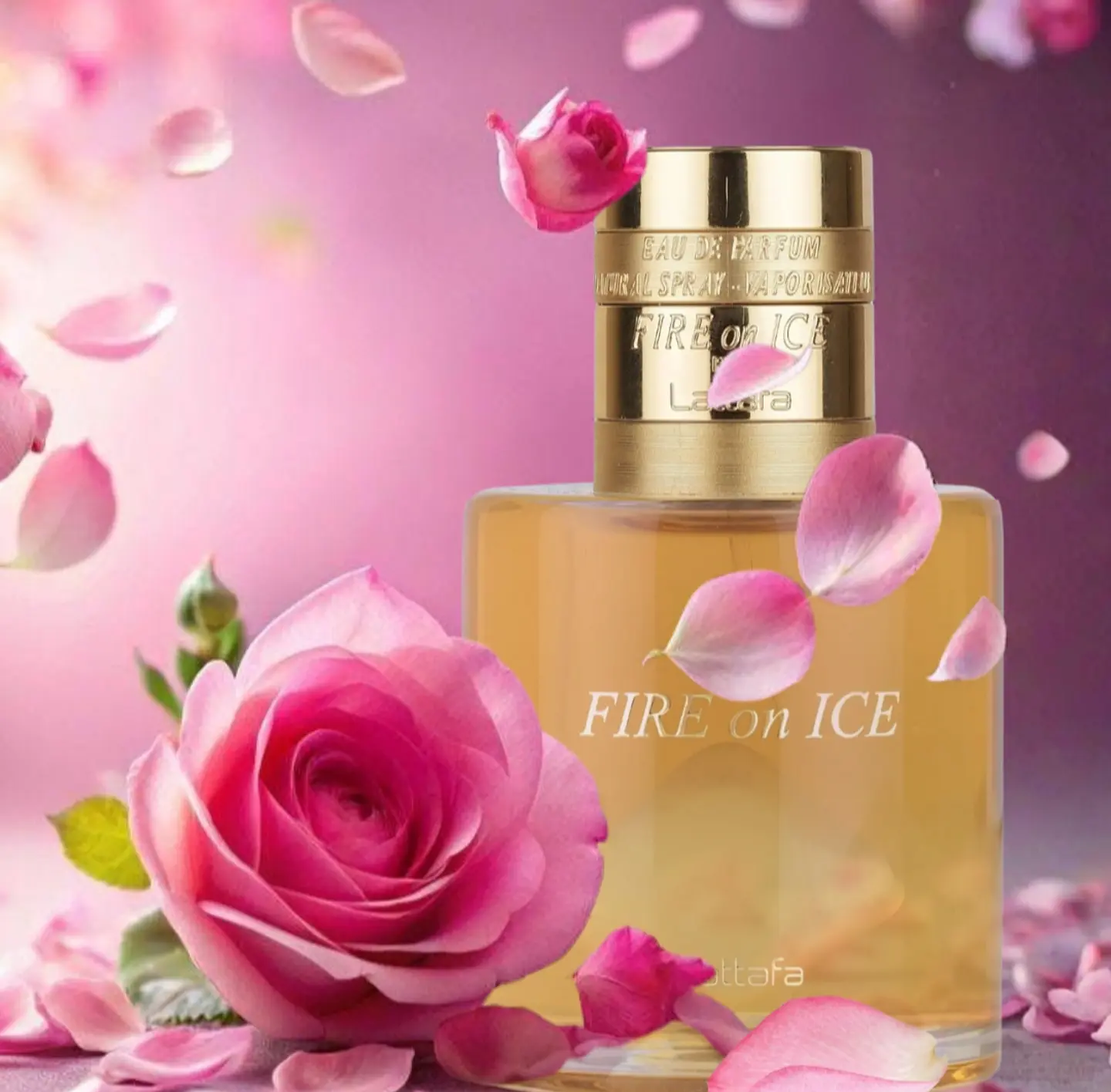 FIRE ON ICE  5