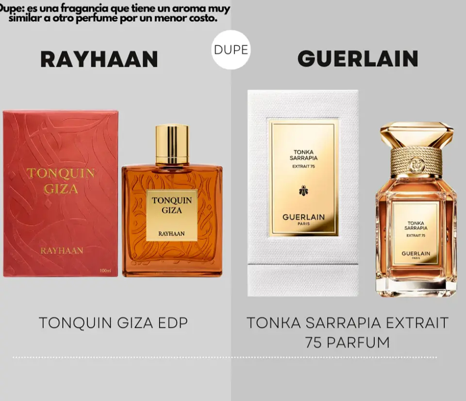 TONKIN GIZA 3