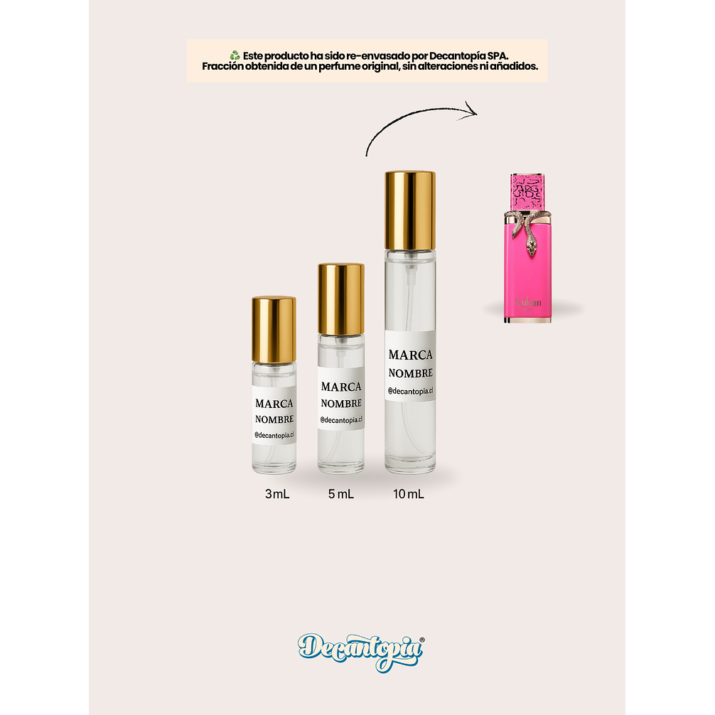 DECANT FRENCH AVENUE - VULCAN BAIE 5