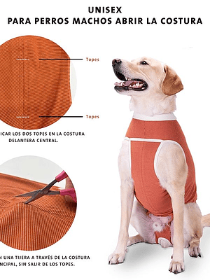 Body cobre ropa post quirurjica