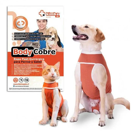 Body cobre ropa post quirurjica