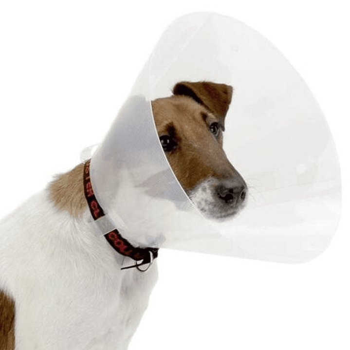 collar isabelino buster 15 cm 15 cm 4