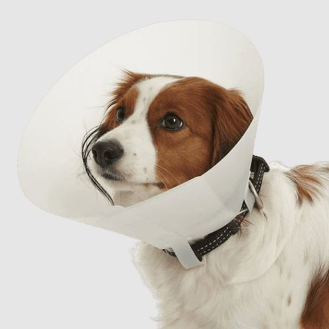 collar isabelino buster 15 cm 15 cm 5