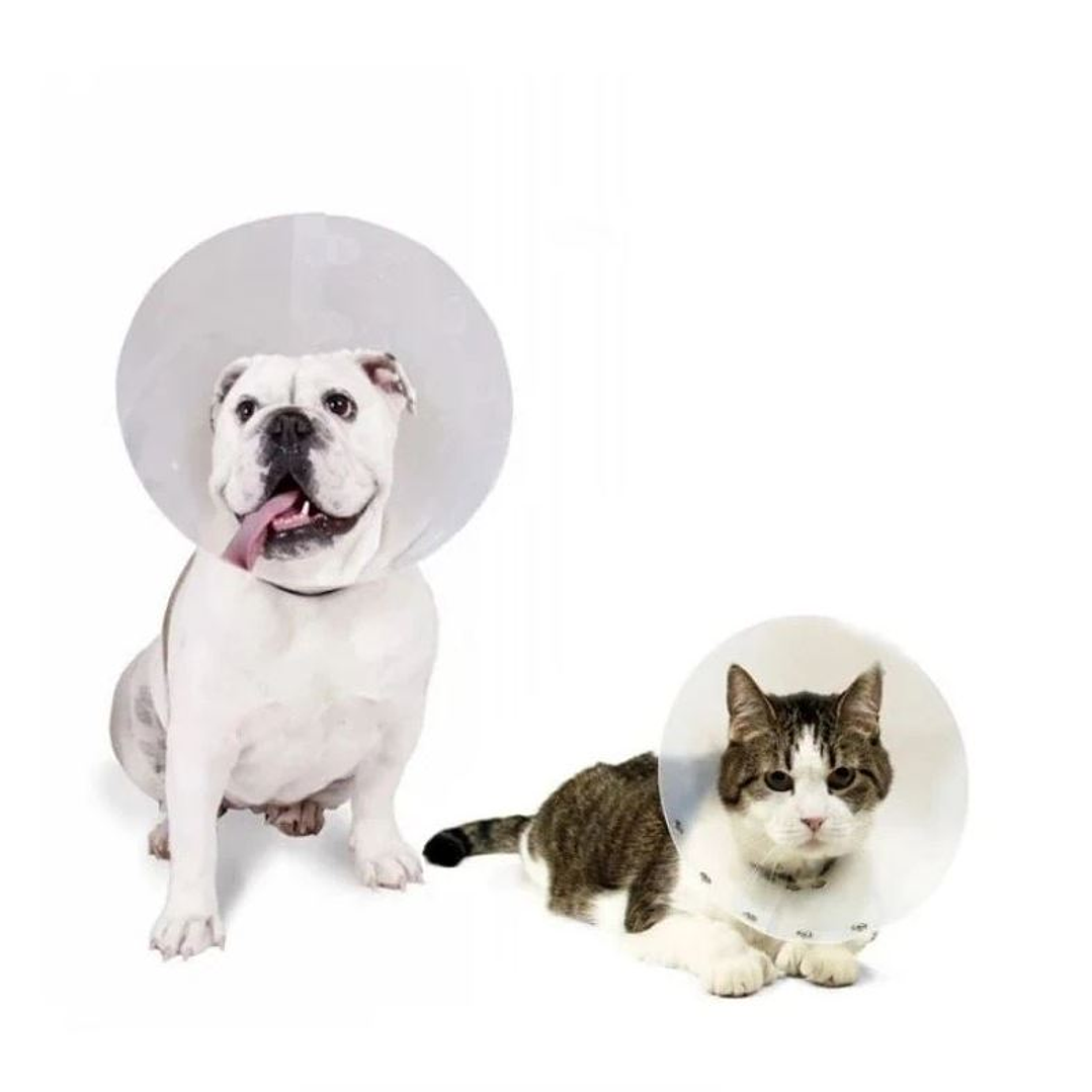 collar isabelino 12.5 cm buster 12.5 cm 2