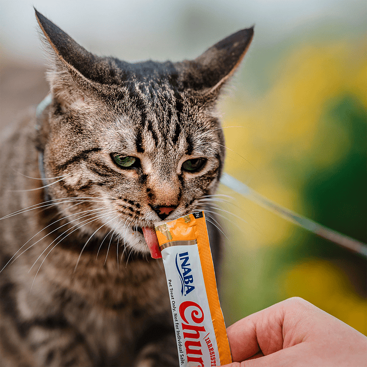 Churu Chicken Kitten 4x14g 3