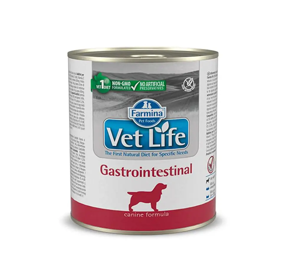 Vetlife gastrointestinal 300g 1