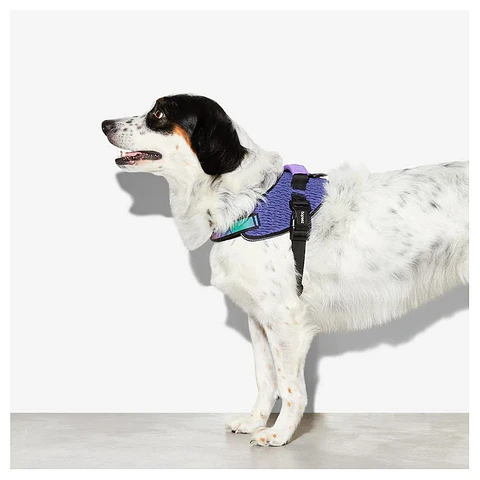 Zee Dog Arnés FlyHarness Wicked Talla 4