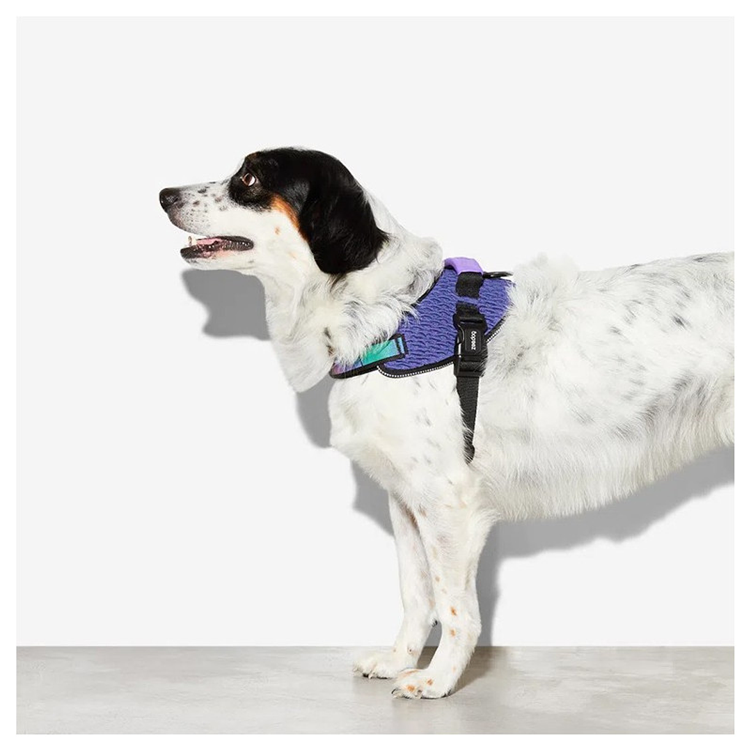 Zee Dog Arnés FlyHarness Wicked 2