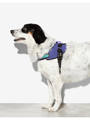 Zee Dog Arnés FlyHarness Wicked Talla 4