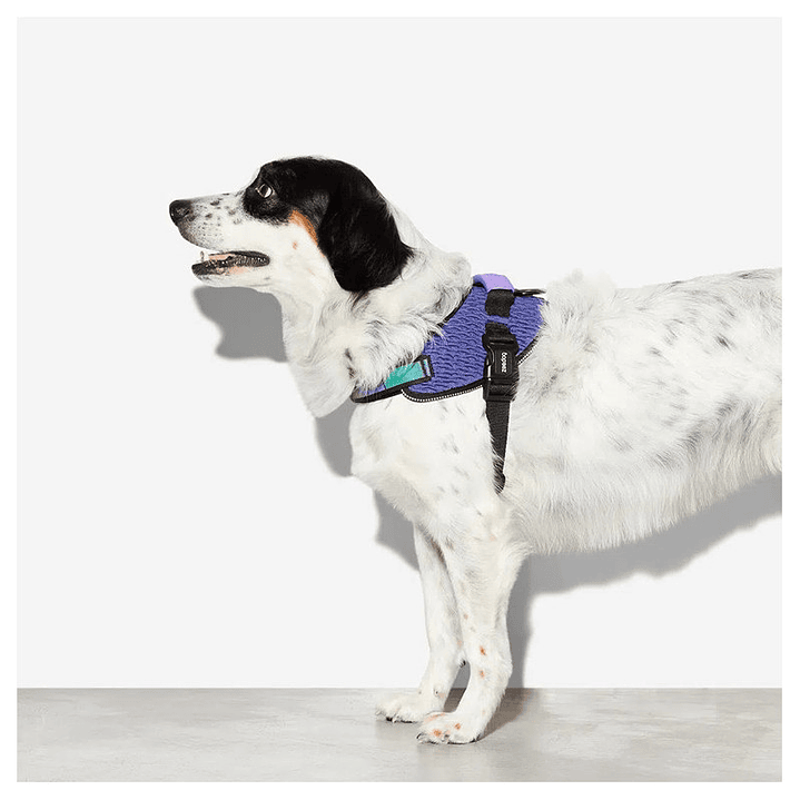 Zee Dog Arnés FlyHarness Wicked 2