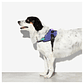 Zee Dog Arnés FlyHarness Wicked - thumbnail 2