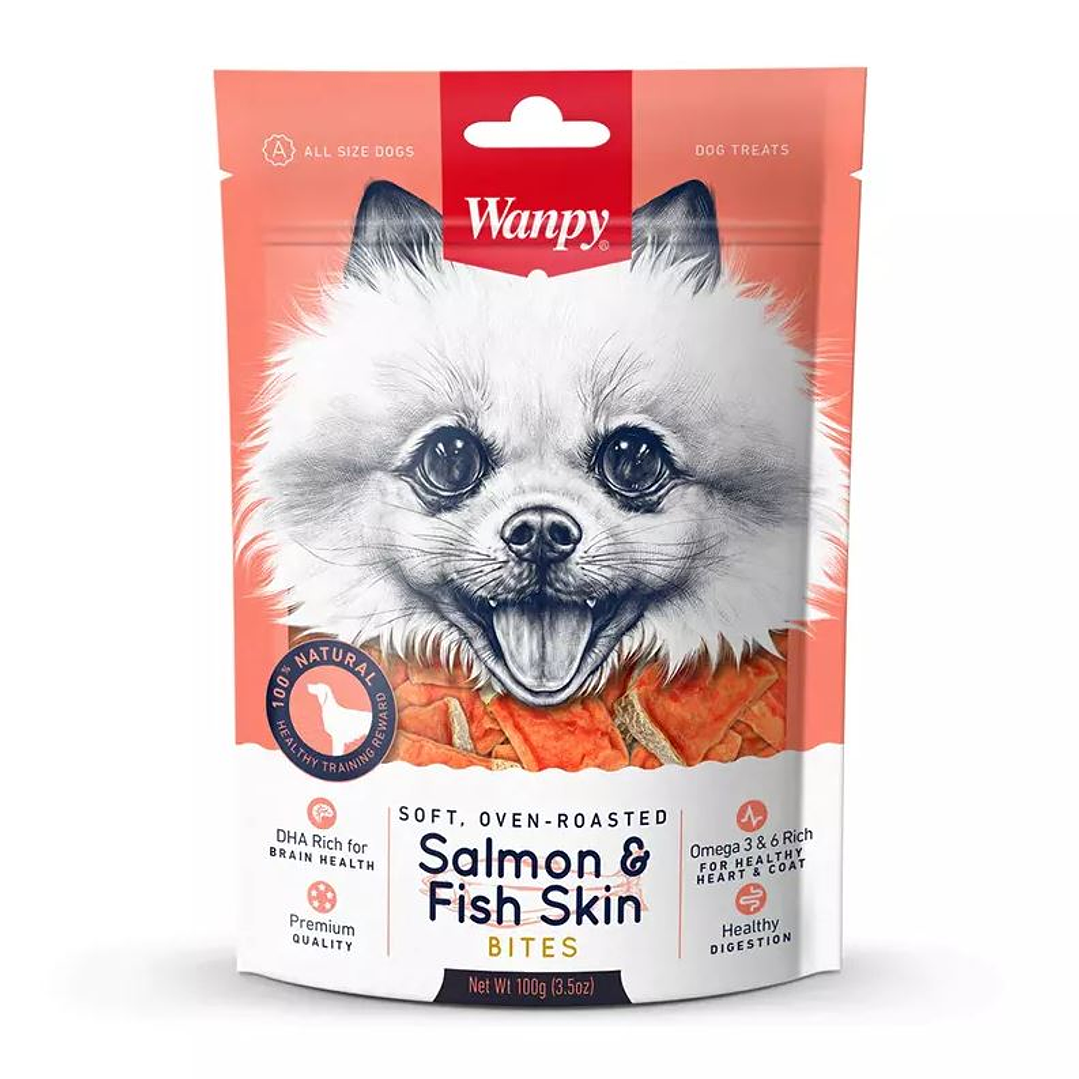 Wanpy Salmon & Fish Skin 100g 1