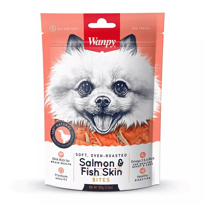 Wanpy Salmon & Fish Skin 100g 1