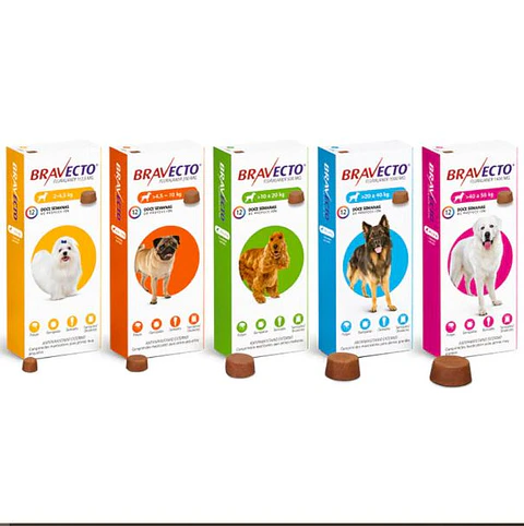 Bravecto 12 semanas 10-20kg